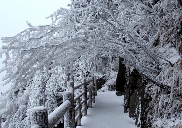 一场雪.jpg