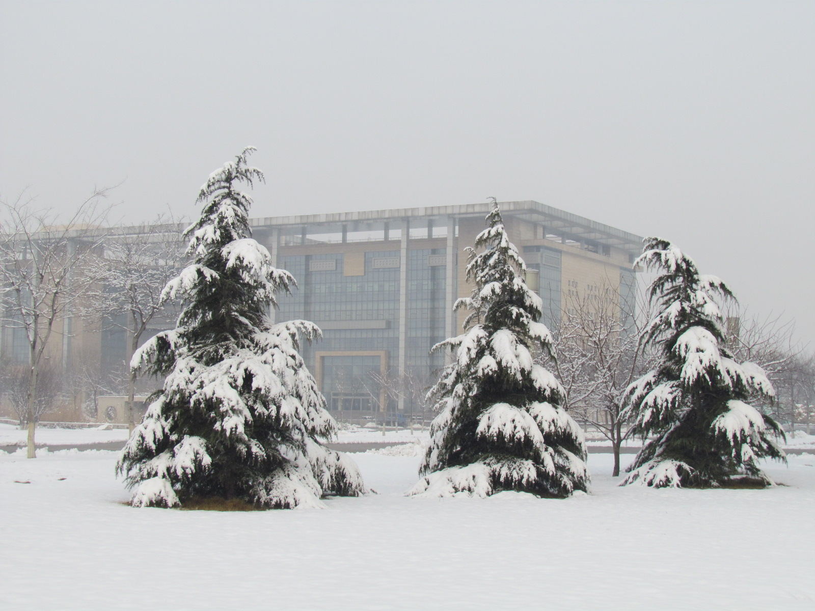 雪景.jpg