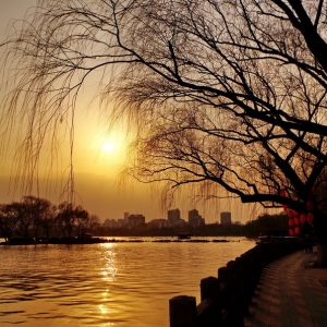 山东游客问：西湖大门在哪